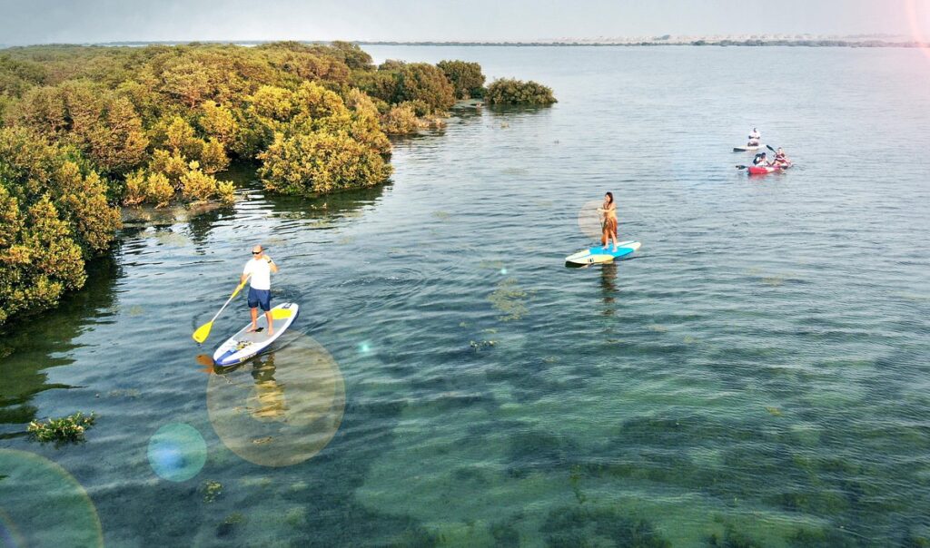 Umm Al Quwain’s Mangroves
