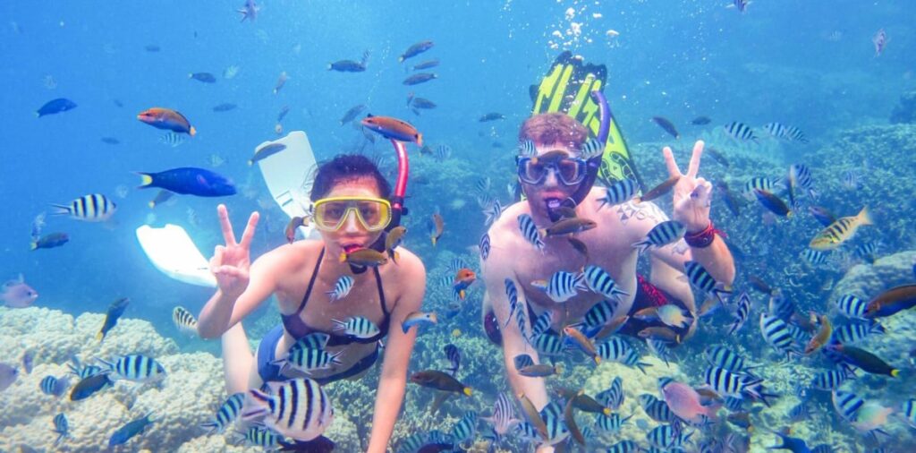 Snorkeling and Diving in Fujairah Coral Reefs